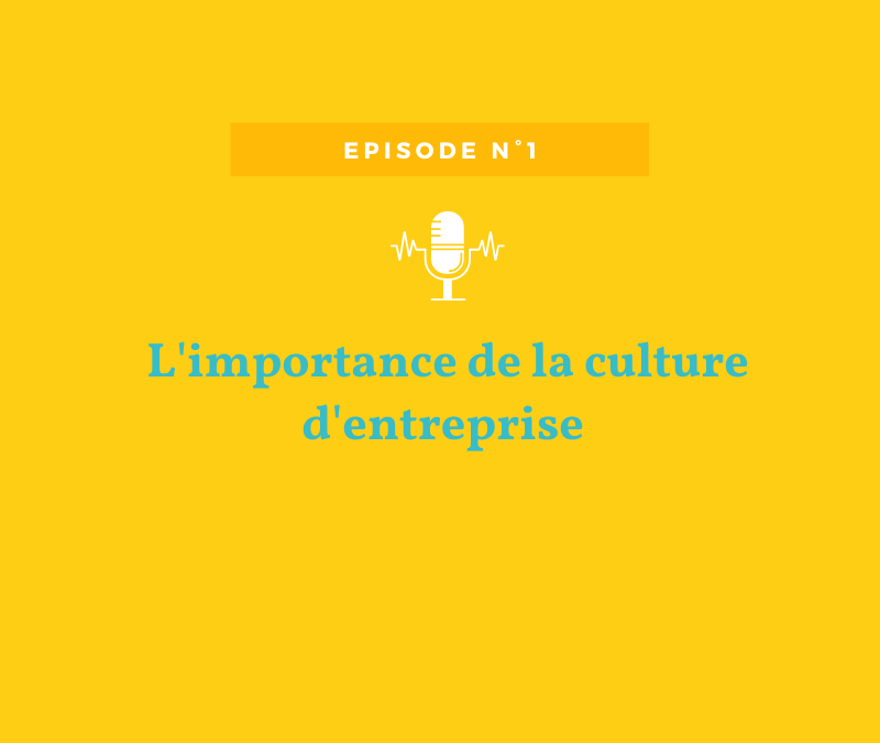 Episode n°1 – La culture d’entreprise expliquée par Vincent Naigeon, fondateur de la Masterbox
