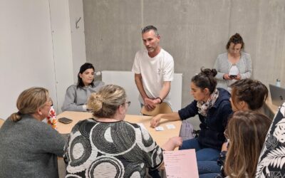 Atelier CHU Grenoble : La ludopédagogie en management